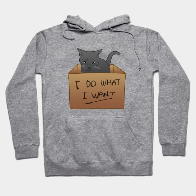 I Do What I Want Hoodie by CCDesign